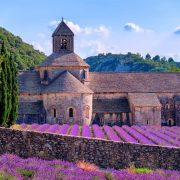 Provencal-featured-image