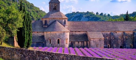 Provencal-featured-image