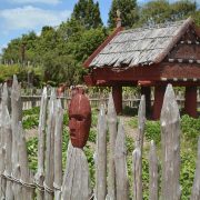 Maori-featured-image
