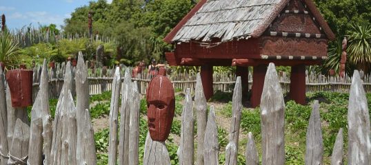Maori-featured-image