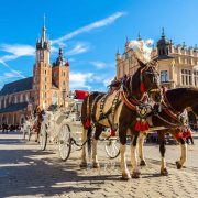 Polish-featured-image