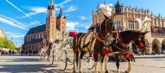 Polish-featured-image