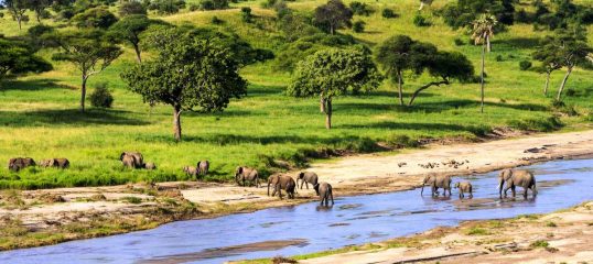 Swahili-featured-image